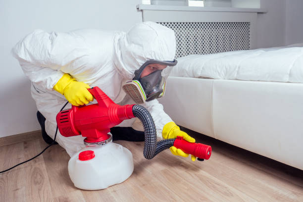 Best Bed Bug Extermination  in Madison Heights, VA